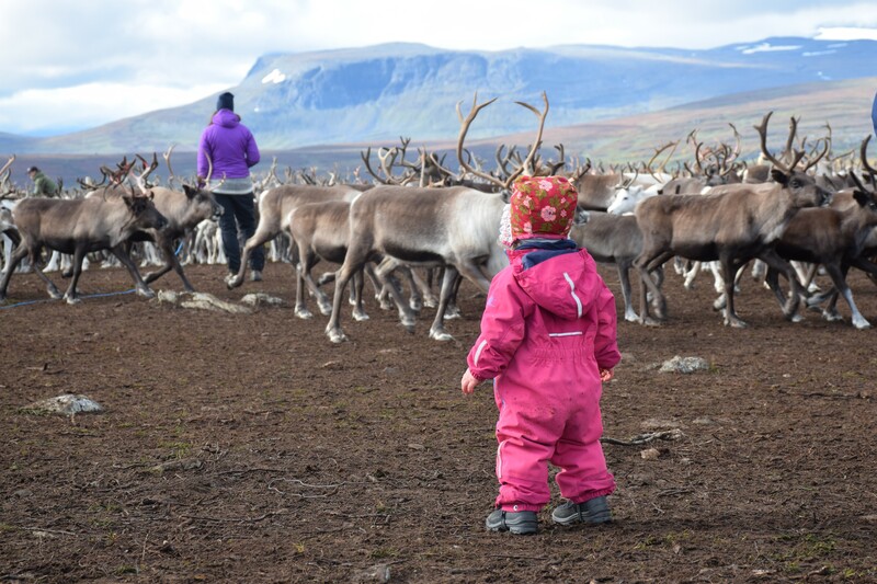 Foto: Ella-Kari Skum